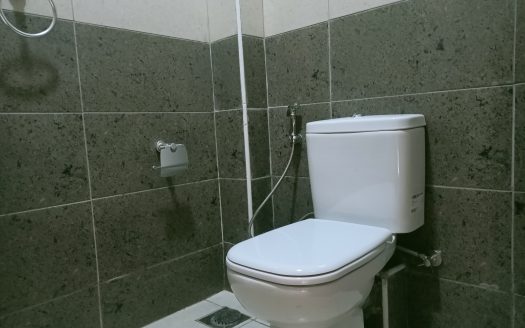 Luxurious 4 Bedroom All Ensuite apartments in Parklands