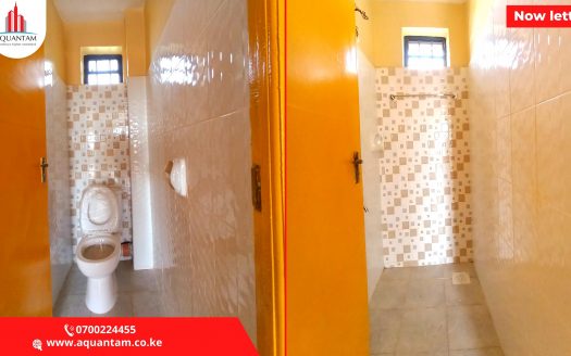 1 Bedroom Apartments For Rent in Ruiru Kimbo