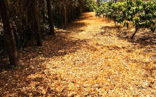 LAND FOR SALE IN RUIRU BEHIND ZETECH