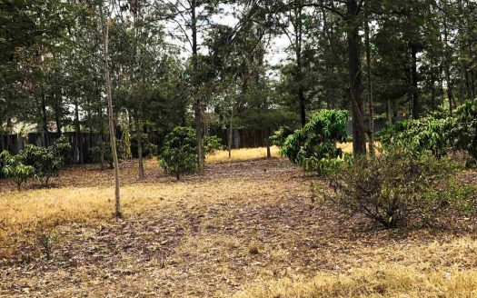 LAND FOR SALE IN RUIRU BEHIND ZETECH