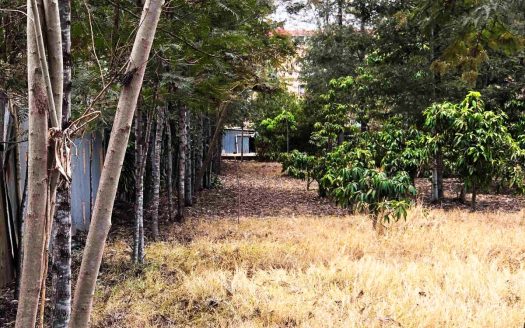 LAND FOR SALE IN RUIRU BEHIND ZETECH