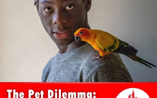 How Kevin Negotiated to Keep His Pet in a No-Pets Rental