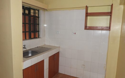 ONE BEDROOM IN CARWASH, KASARANI – KATOMA – C