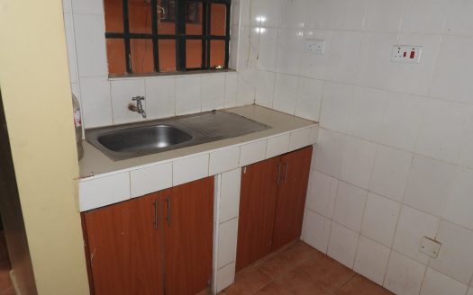 ONE BEDROOM IN CARWASH, KASARANI – KATOMA – C
