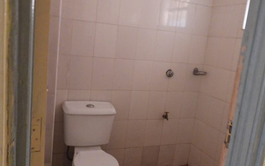 ONE BEDROOM IN CARWASH, KASARANI – KATOMA – C